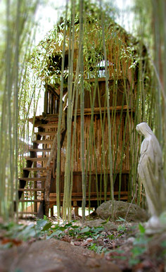 Bamboo Tower